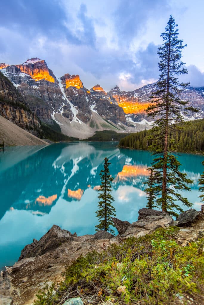 Acupuncture Dr. Noemi DTCM, R, Ac.