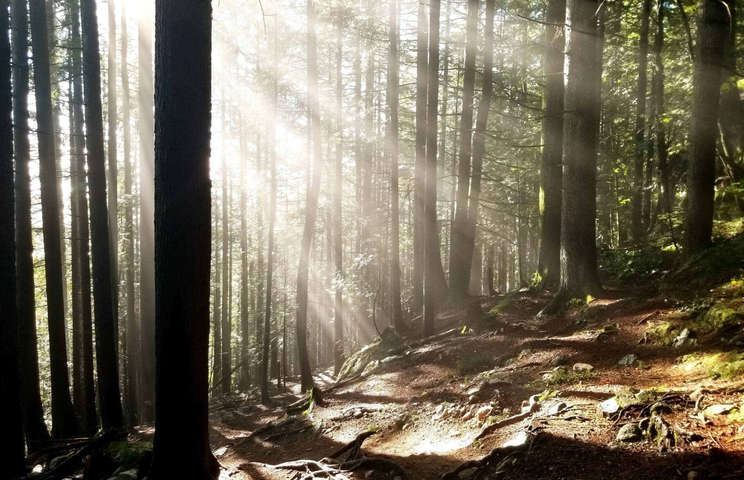 Body Harmony Yoga North Vancouver gallery image 3
