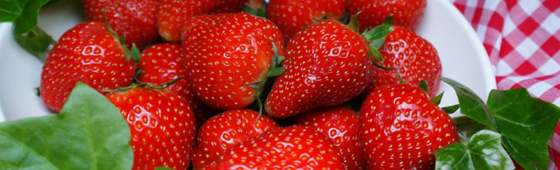 Clinique Naturopathie Francine Locas gallery image 3