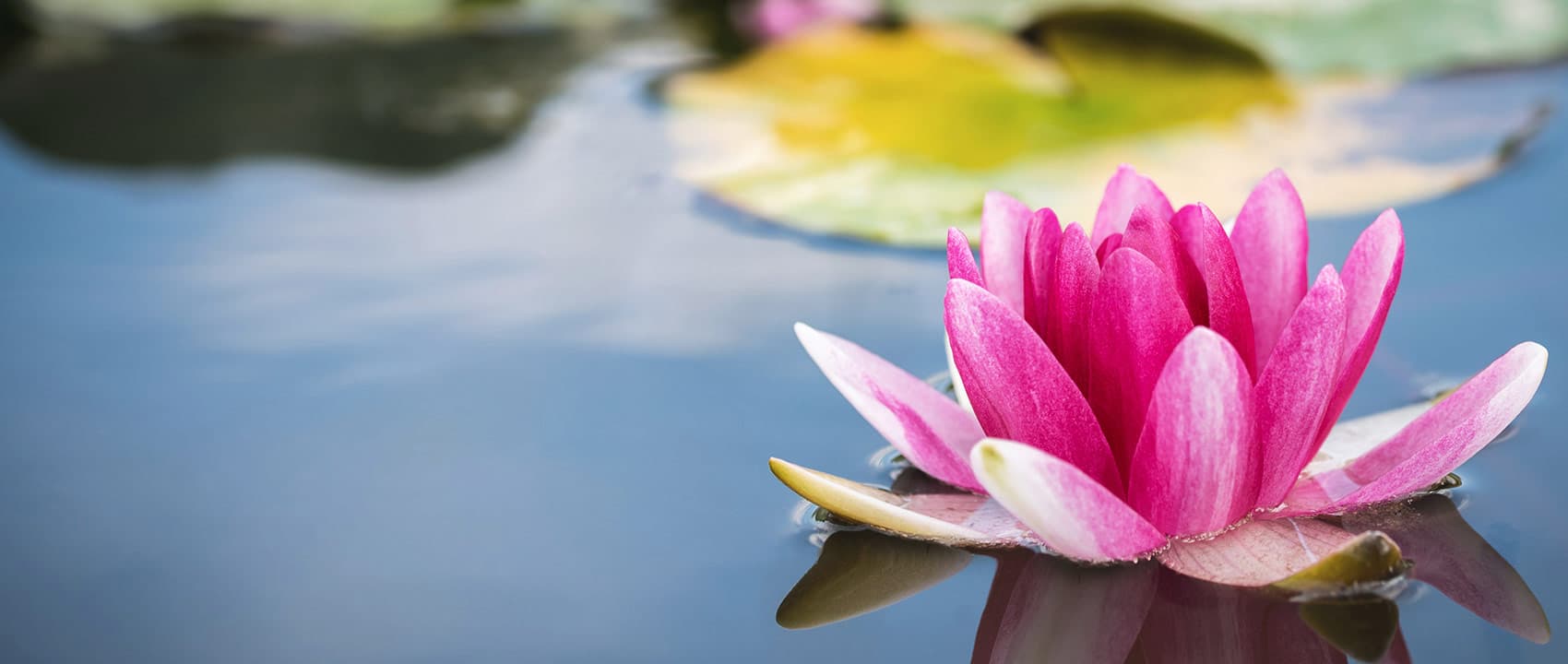 I-Float In The County gallery image 5