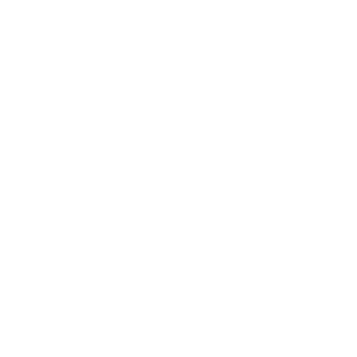 Nutriessence Fitness logo