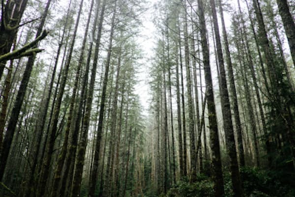 Old North Wellness Center gallery image 3