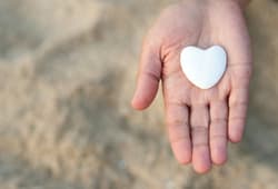 Perfect Balance gallery image 3