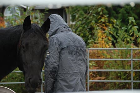 Wisteria Acres Wellness & Retreats gallery image 2