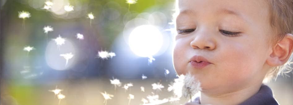 Service d'aide thérapeutique