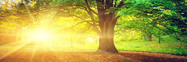 Appleby Wellness Centre gallery image 1