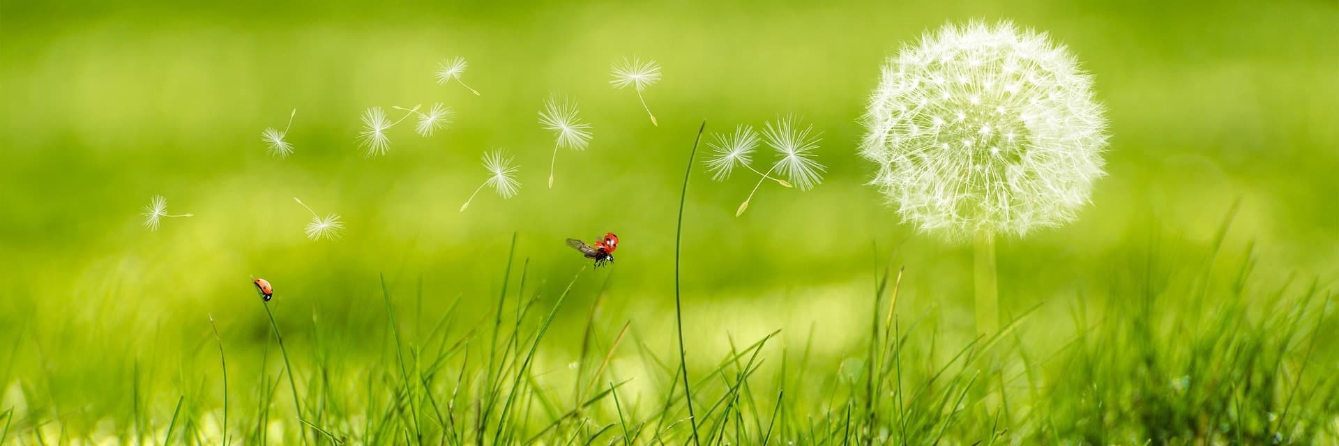 Appleby Wellness Centre gallery image 4