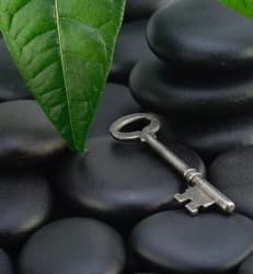 Conceiving Wellness gallery image 3