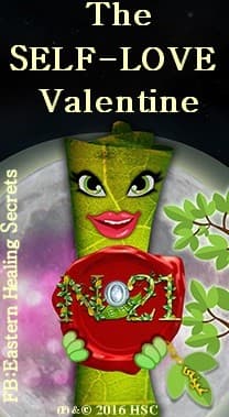 Doctor DNA Mental Health and Life Coaching gallery image 5