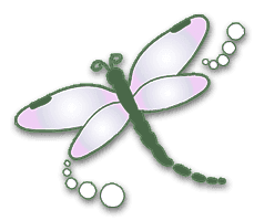 Dragonflies and Dreams logo