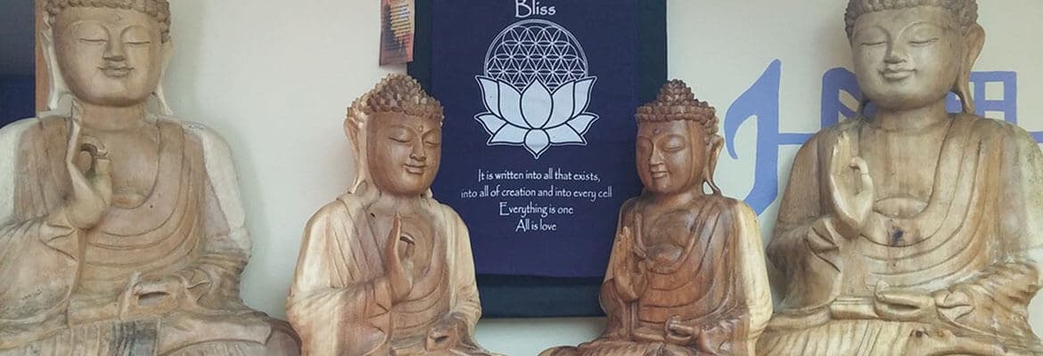 Dragonflies and Dreams