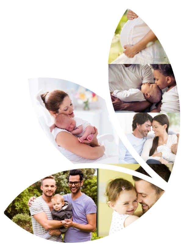 Fertility Match - Egg Donation and Surrogacy Oshawa gallery image 3