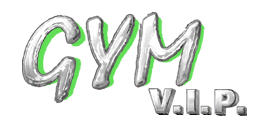 Gym VIP logo