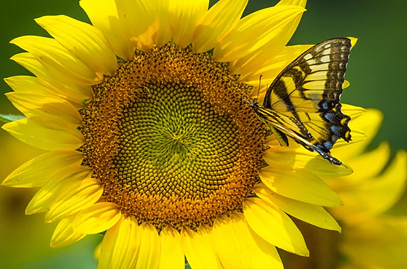 Centre Hygiene Vitalité gallery image 1