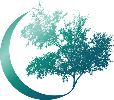 Mandara Coaching and Wellness gallery image 2