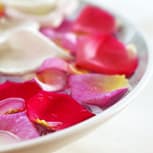 Santé Ressources Lucie Caron gallery image 5