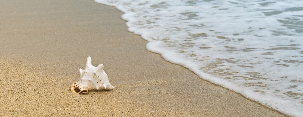 Teena Garcia Counselling Services gallery image 3