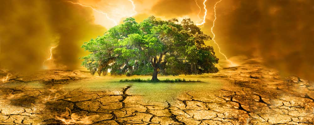 Hayen Centre for Psychotherapy gallery image 2