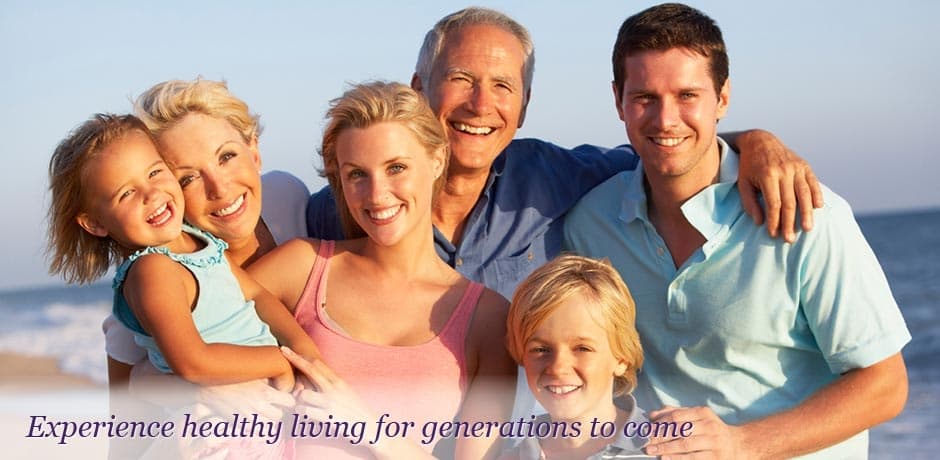 Whole Body and Mind gallery image 5