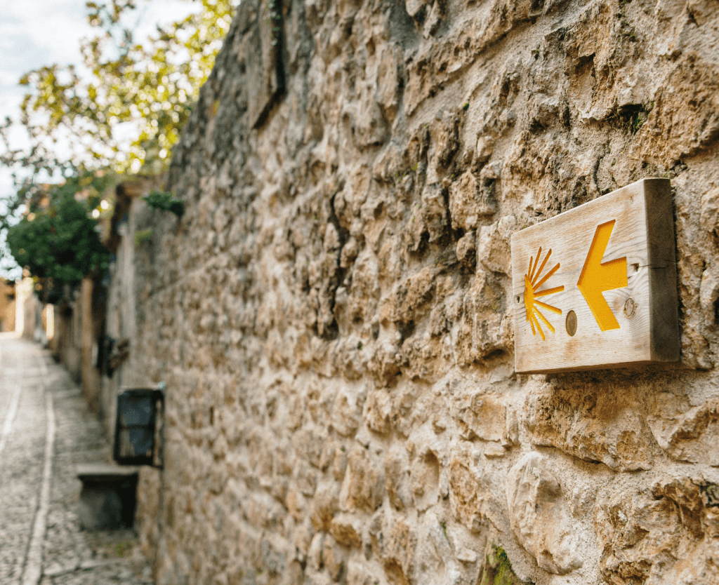 Women’s Wellness Journeys gallery image 3