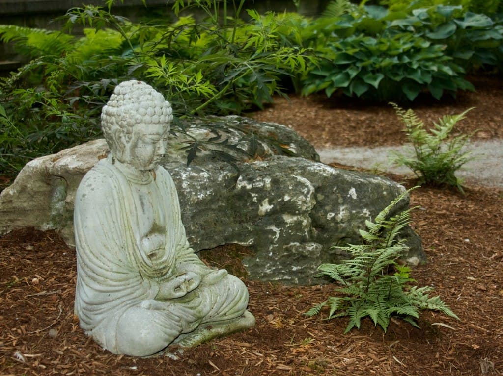 Waterloo Riverview Dharma Centre logo