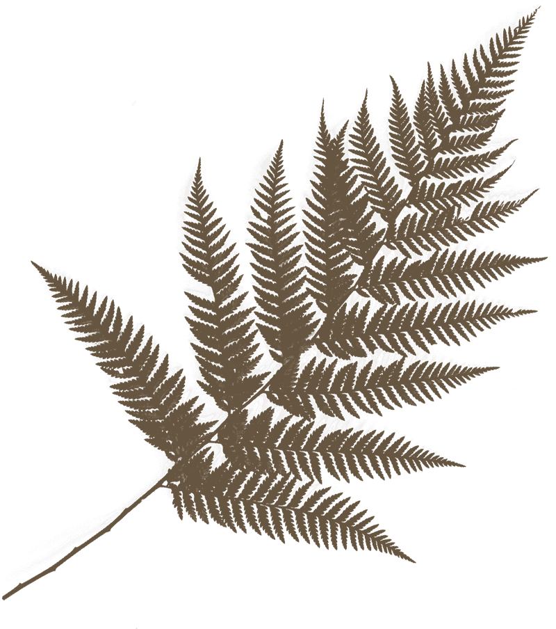 Coach with Rhonda gallery image 2