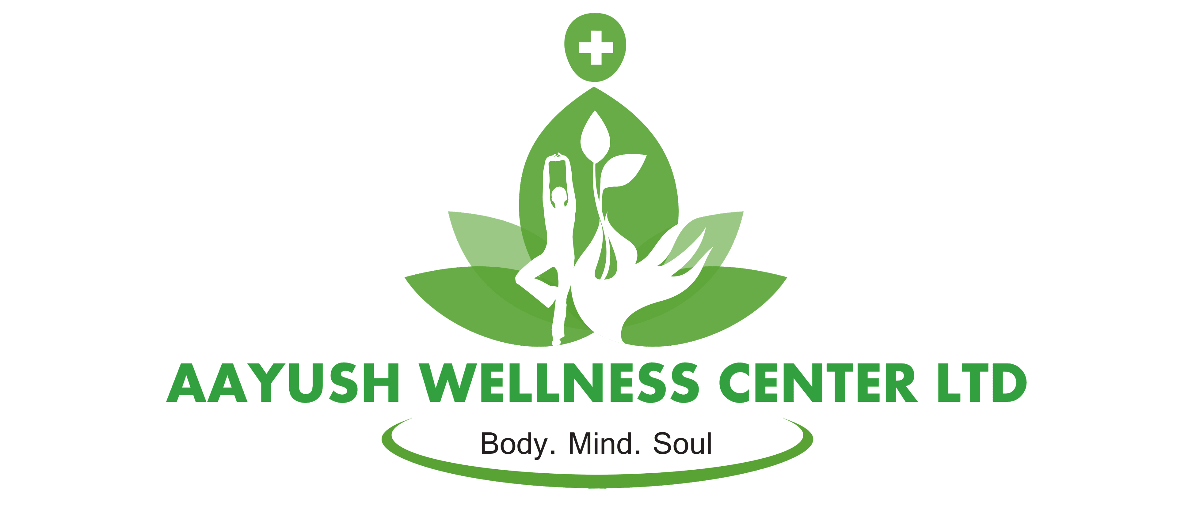 Aayush Wellness Center logo