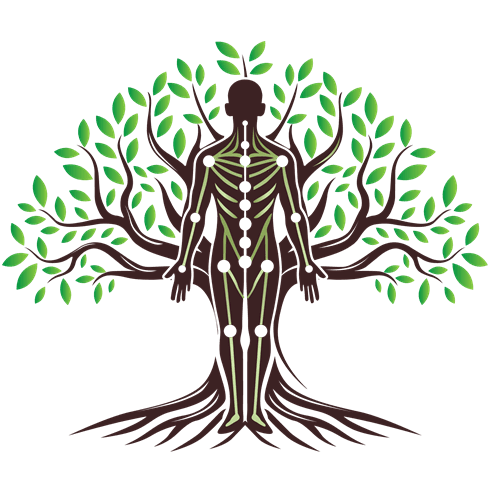 AcuVitae Acupuncture gallery image 2