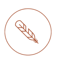 Aboriginal Health & Wellness Centre gallery image 2