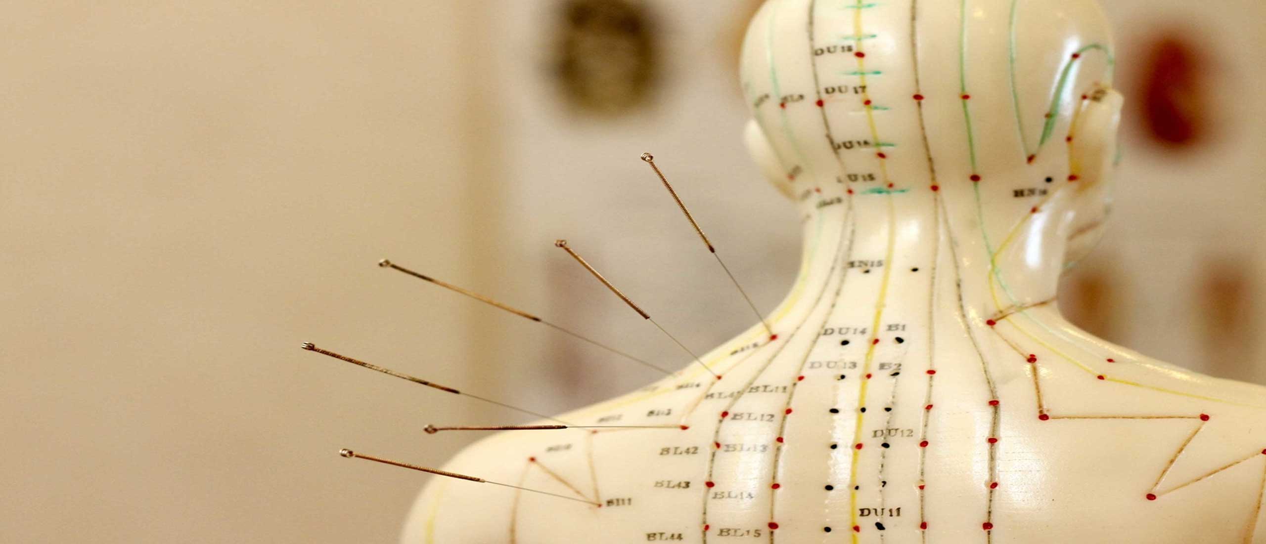 ALL CARE physio , chiro, massage sports injuries gallery image 4