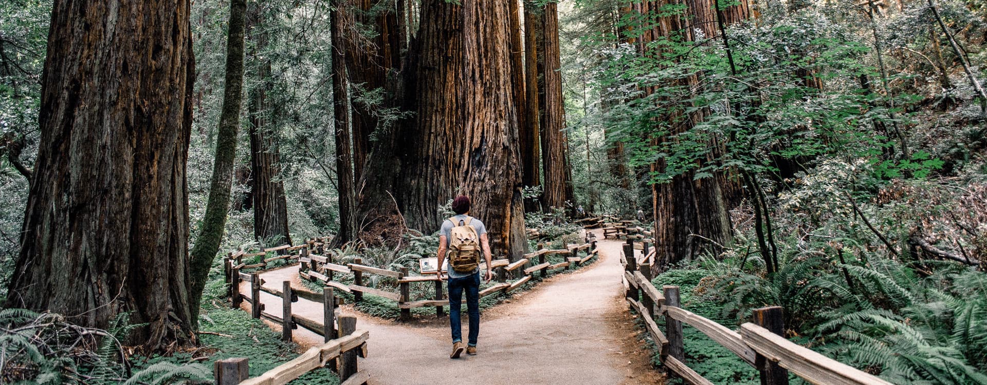 Bird & Associates Psychological Services Inc. gallery image 2