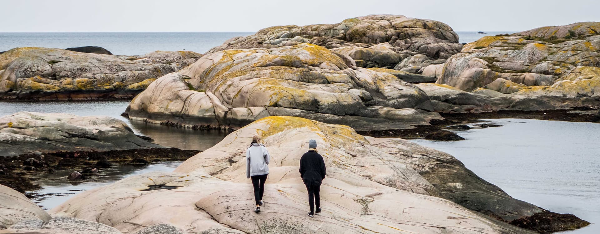 Bird & Associates Psychological Services Inc. logo