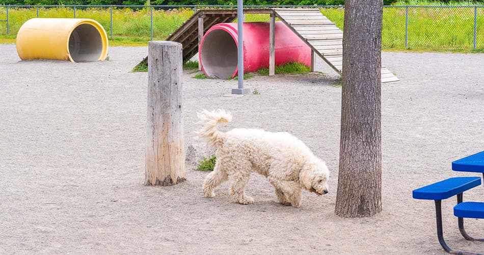 Centre communautaire de Blainville gallery image 5