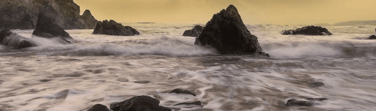 Bod-e-Tune Wellness gallery image 4