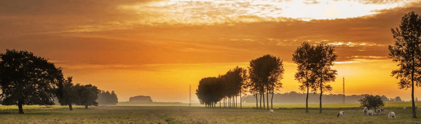 Bod-e-Tune Wellness gallery image 5