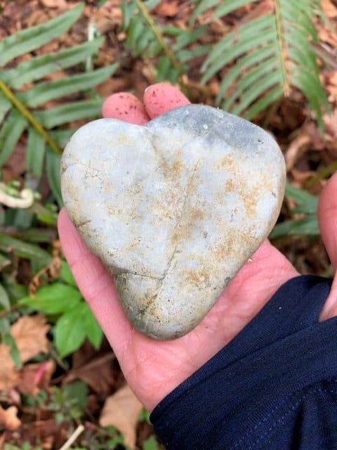 Bodymind Joy gallery image 5