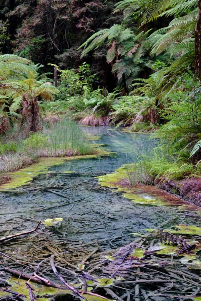 Bodymind Joy gallery image 4