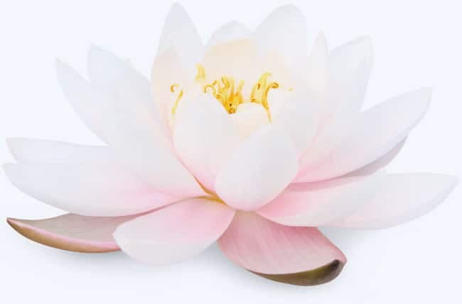 Breathe Mindfulness Centre gallery image 3