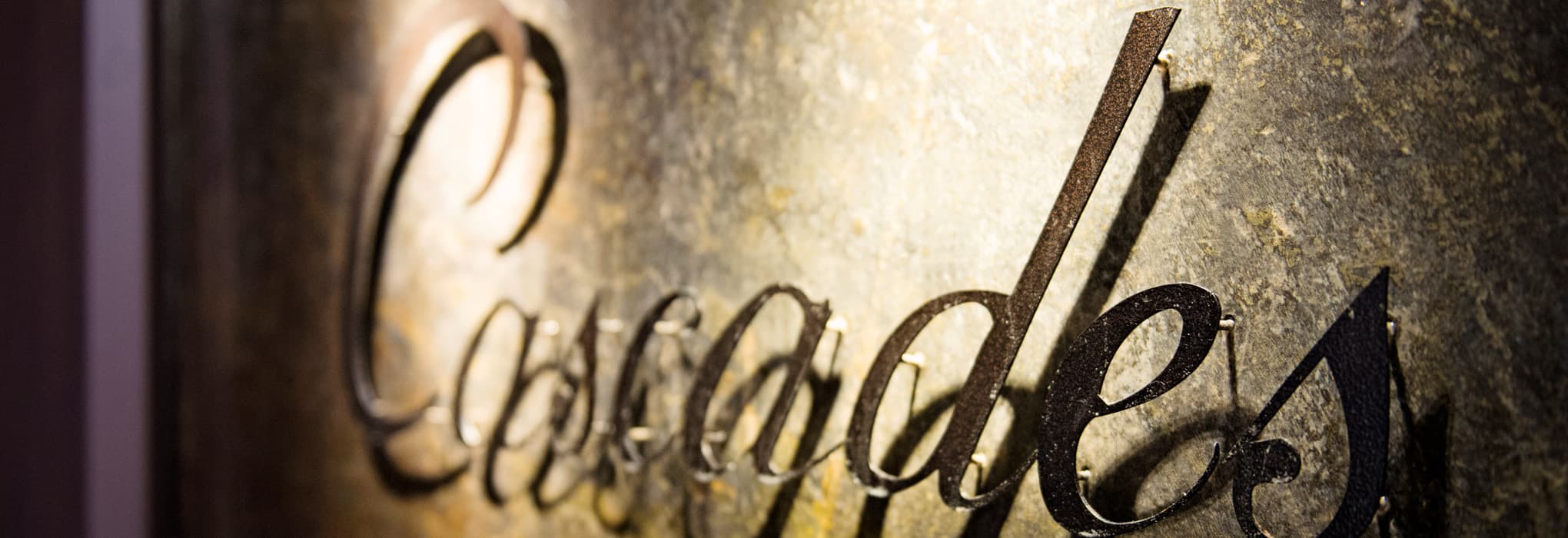 Cascades Day Spa logo