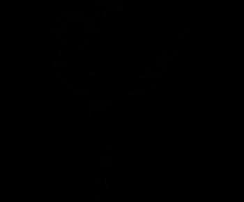 Centre Stage Nutrition logo