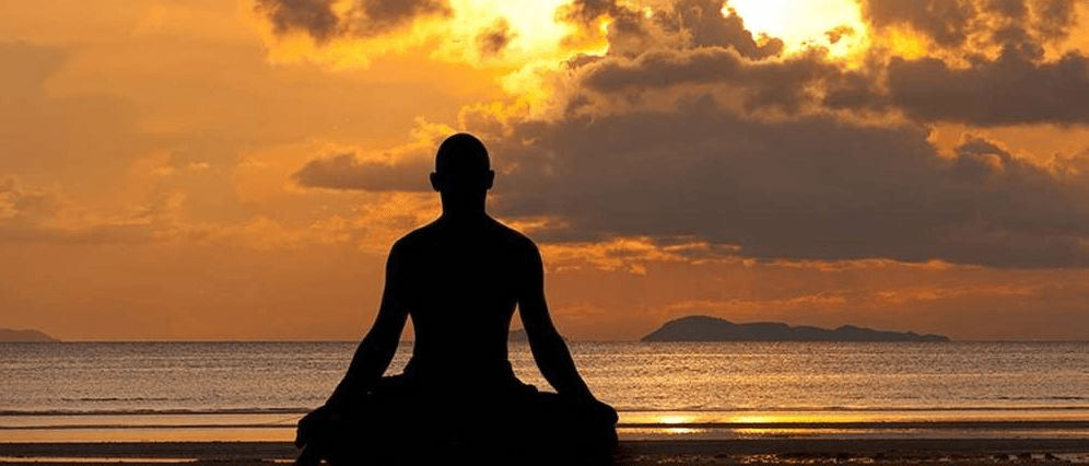 Circle of Life Bridge to Wellness logo