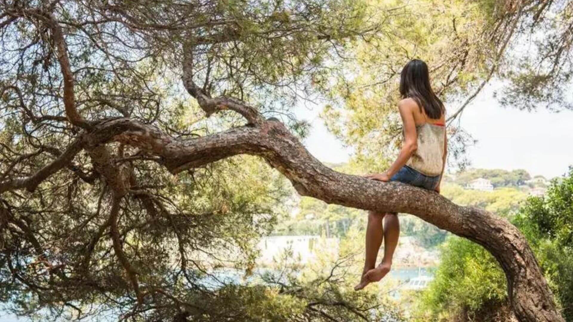 Claire Gregor, Couple and Family Therapist gallery image 3