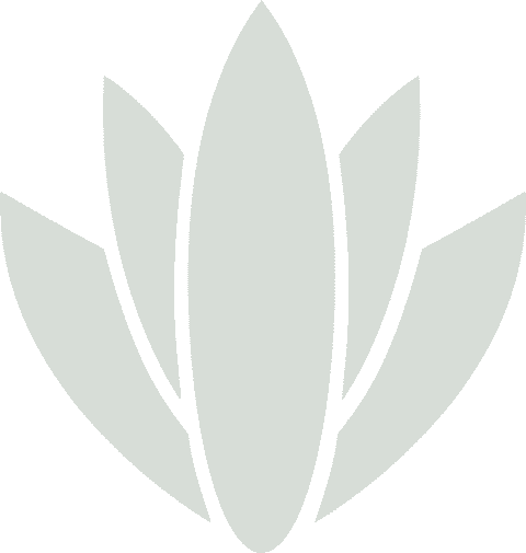 Classe-Zen gallery image 3