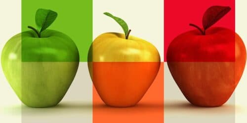 Clinique Expertise Santé - ostéopathie et naturopathie gallery image 3