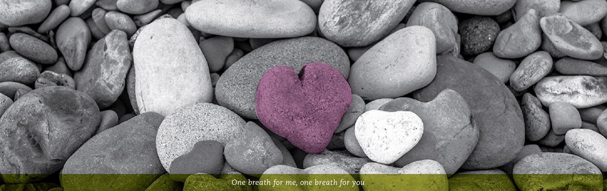 Victoria Pawlowski Counselling & Training