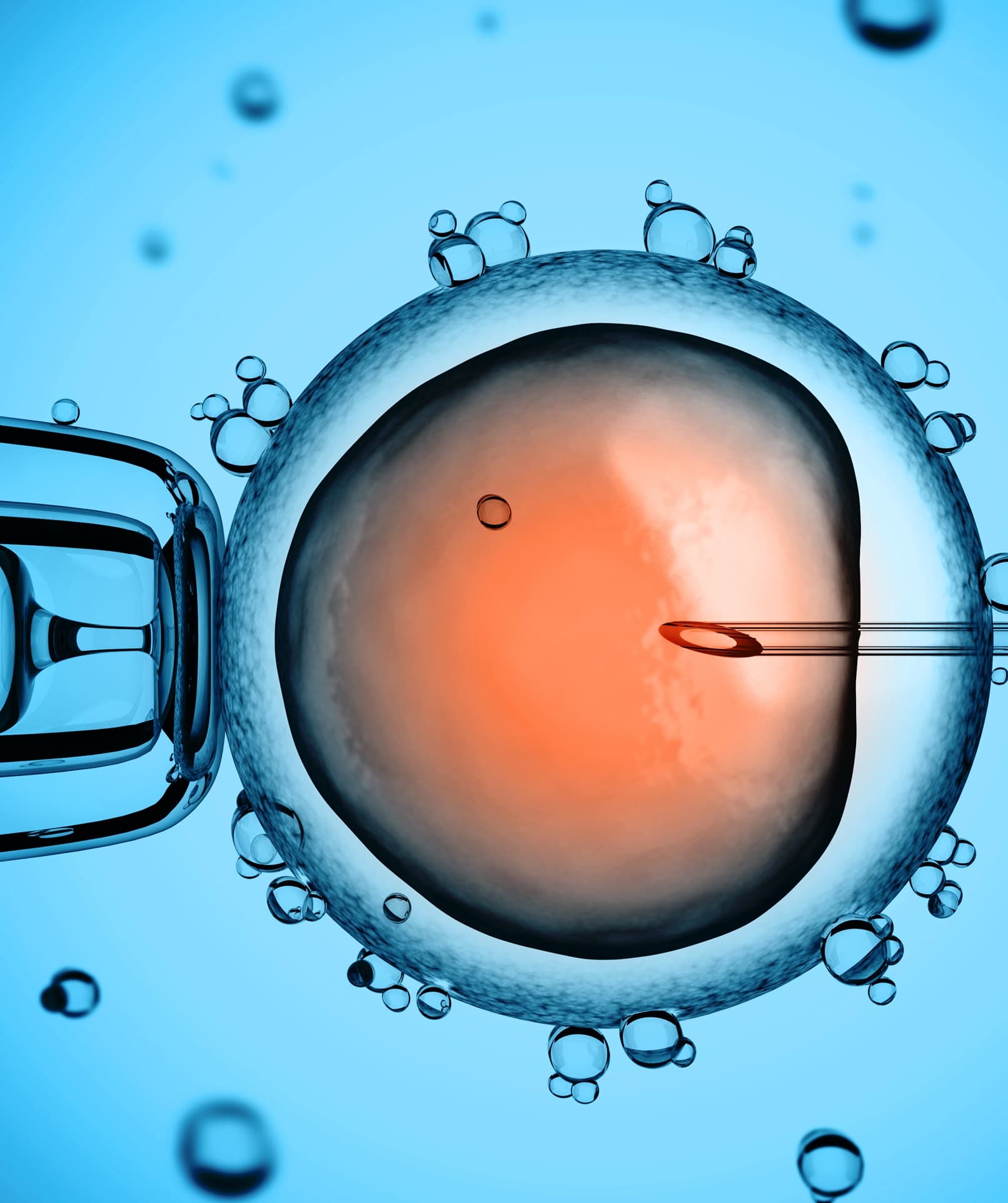 Ottawa Fertility Centre gallery image 5