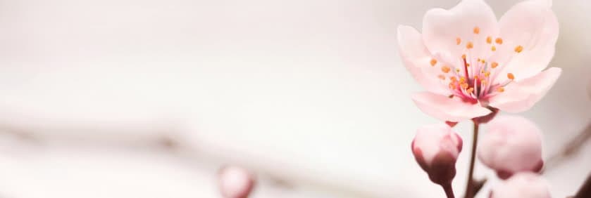 Dermka Clinik Blainville gallery image 2