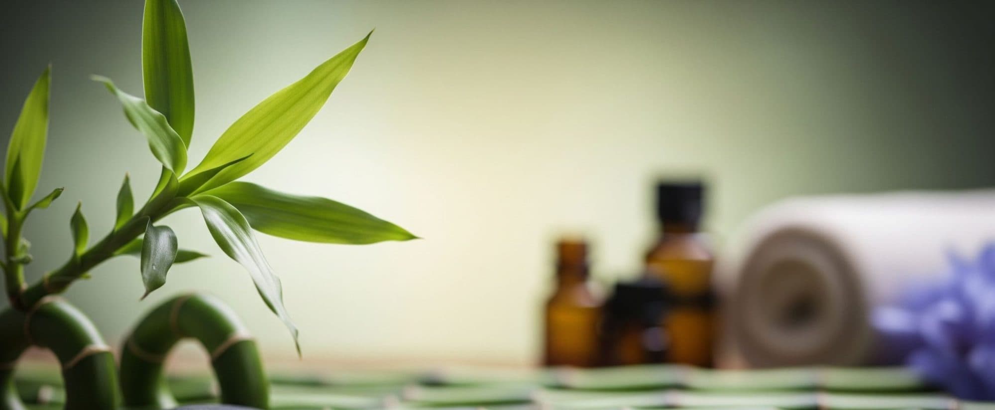 Esprit Wellness Centre logo