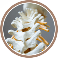 Carter Chiropractic Clinic gallery image 5