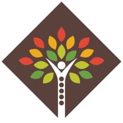 All Seasons Chiropractic logo
